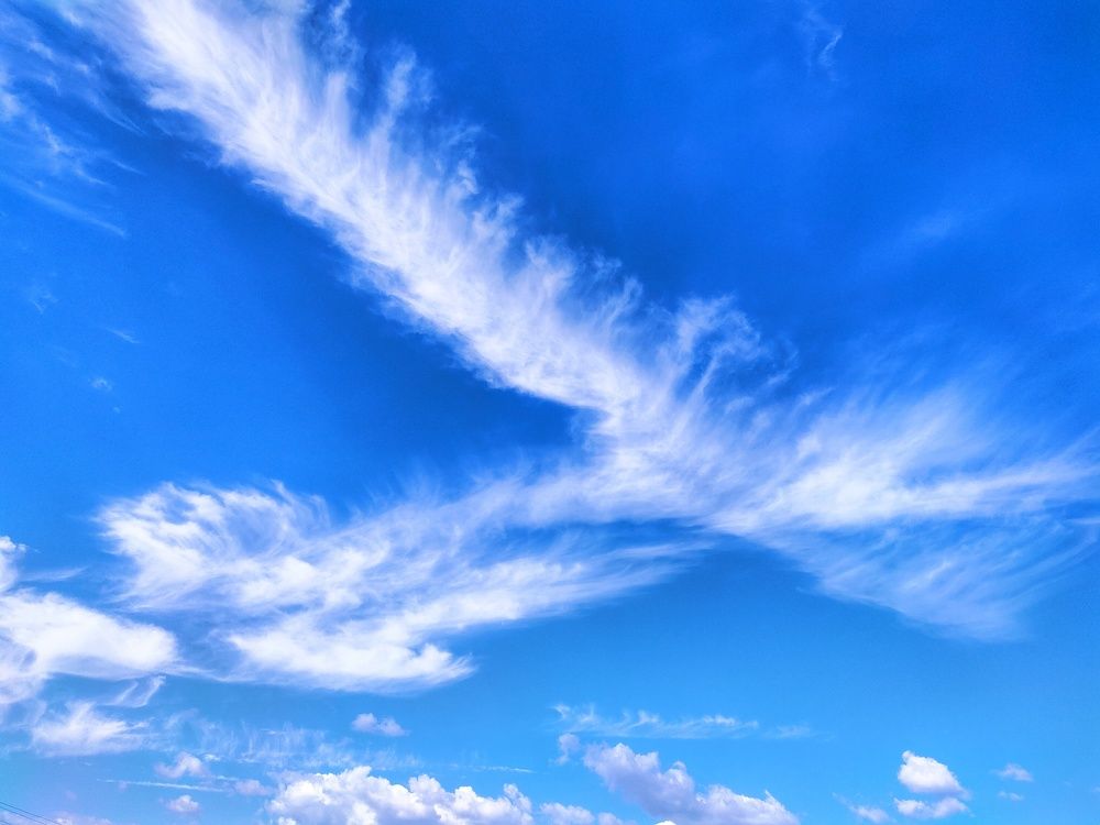 Photograph by Алексей Царевский