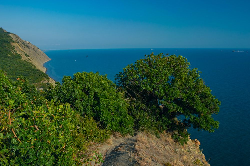 Photograph by Оксана Кричевцова