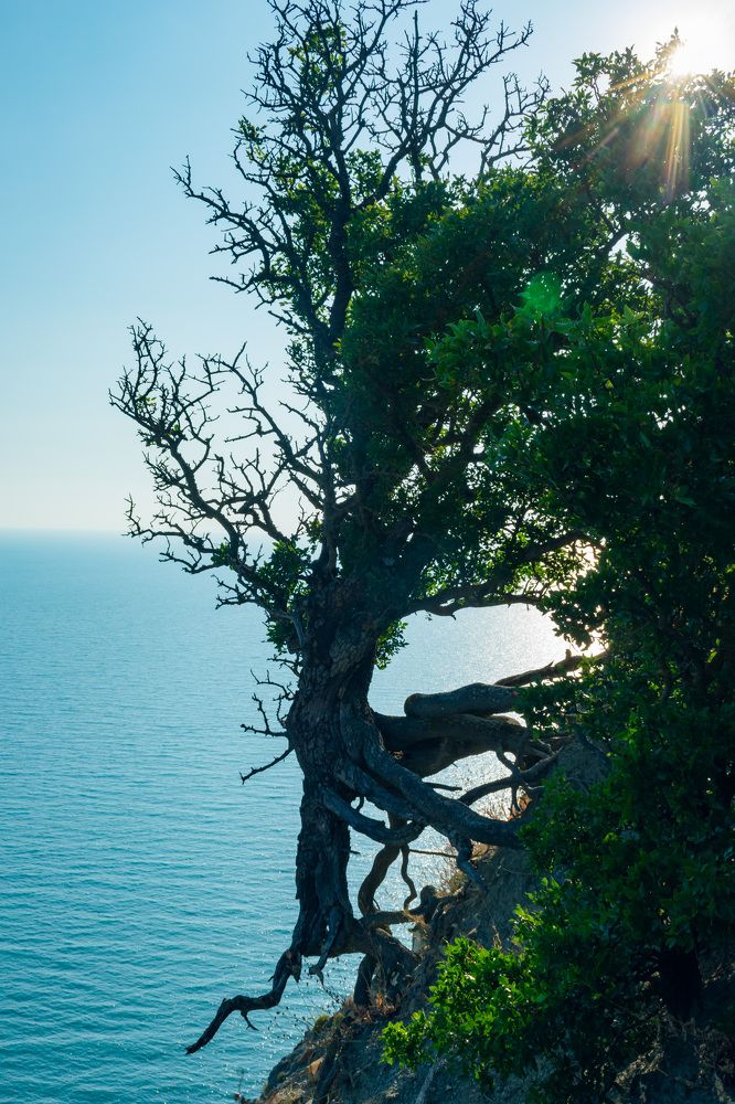 Photograph by Оксана Кричевцова