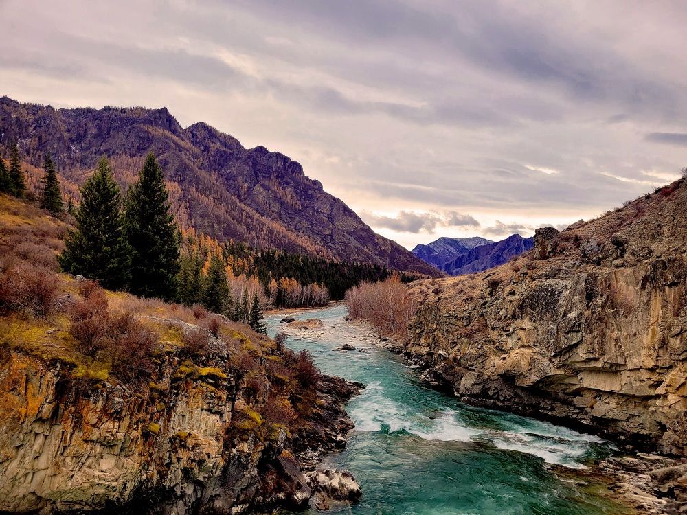 Photograph by Владимир Каверин