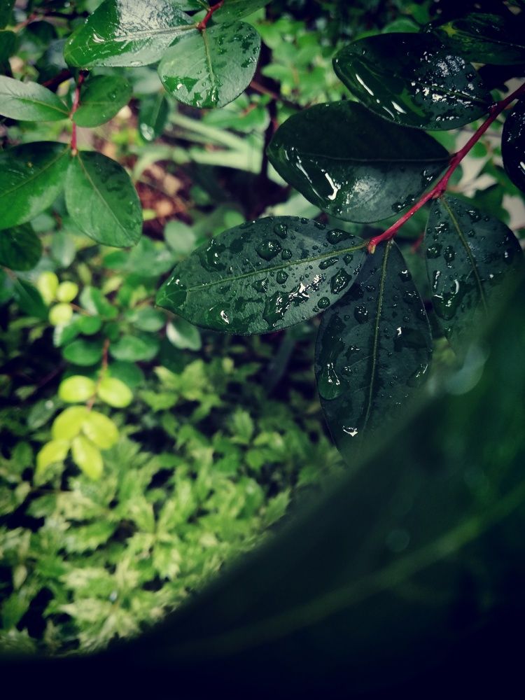 Photograph by Anna Gancheva