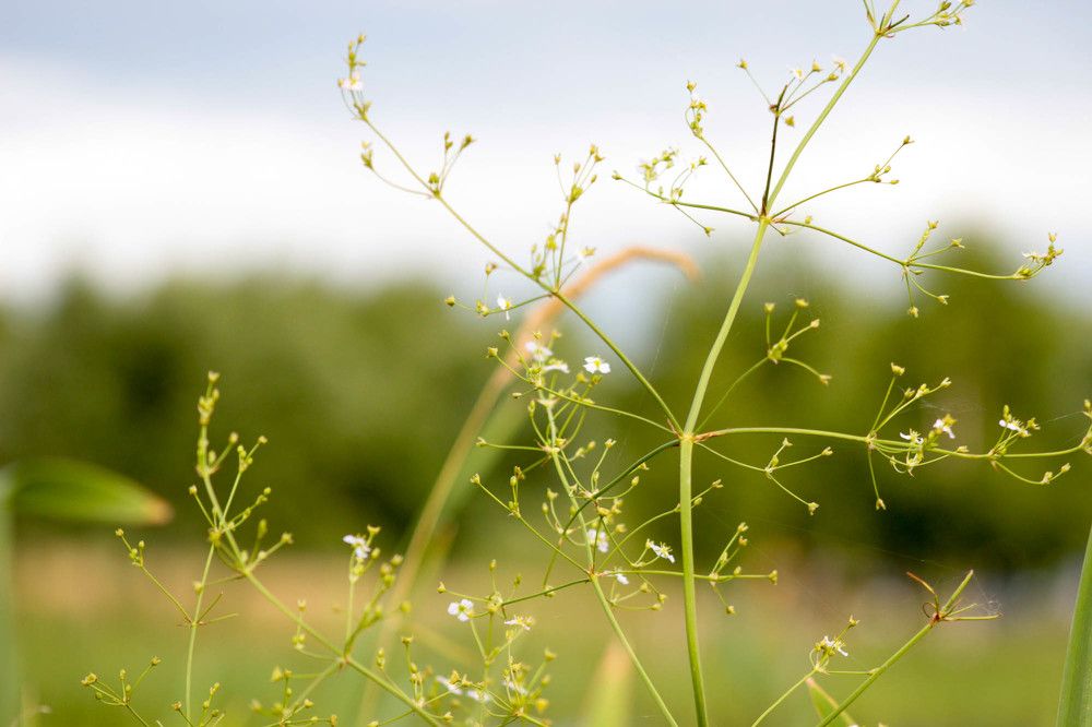 Photograph by Алена Морозова
