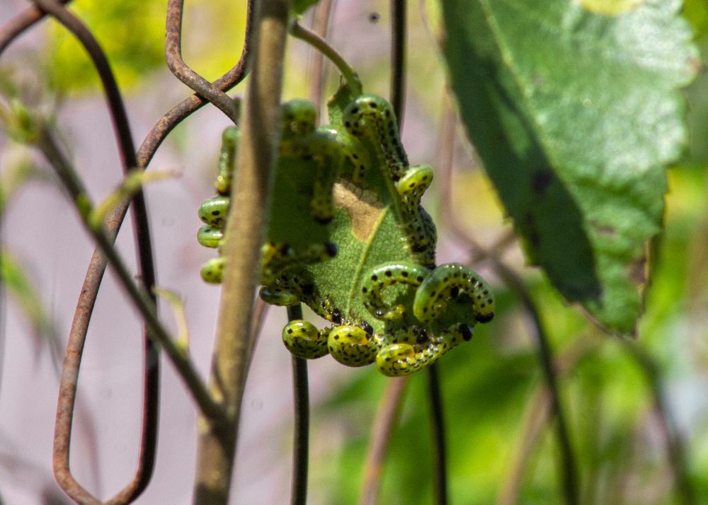 Photograph by Алена Морозова