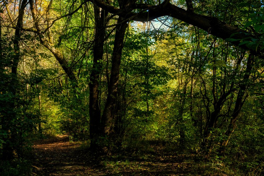 Photograph by Владимир Кваша