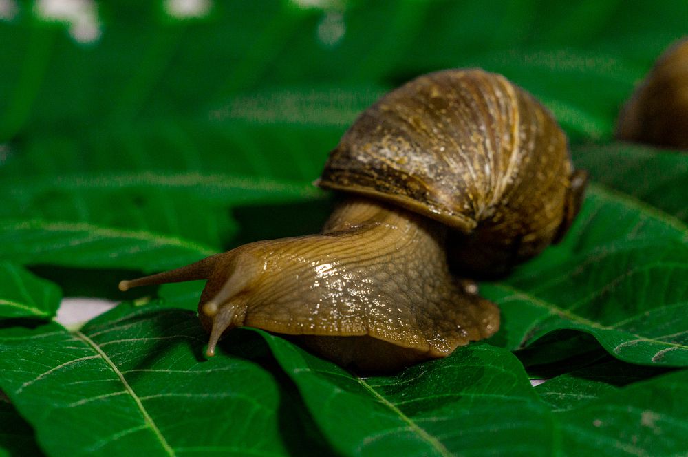 Photograph by Фетисова Анна