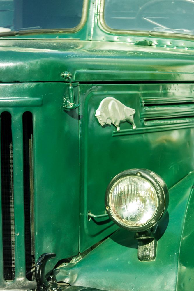 Photograph by Алена Морозова