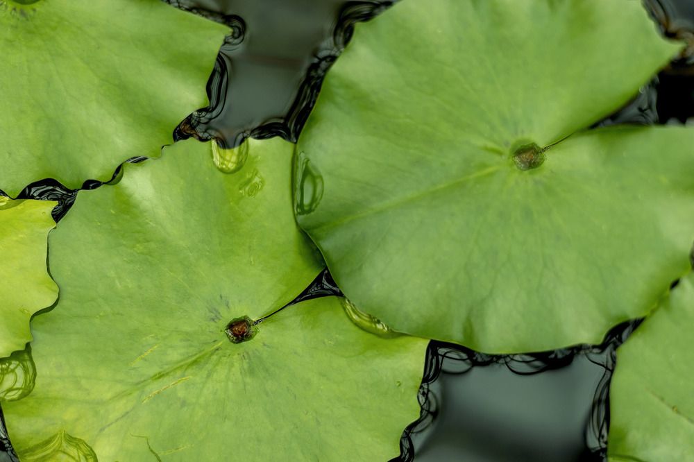 Photograph by Evgeniia Iakimenko