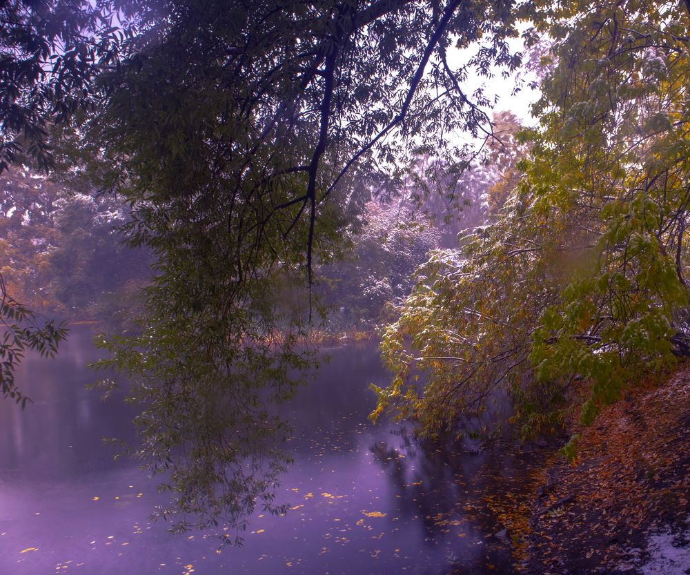 Photograph by Виктор Саврей