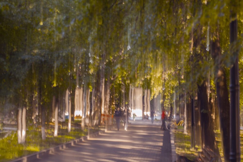 Photograph by Виктор Саврей