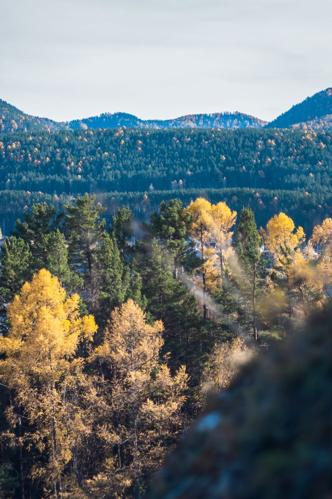 Фотография автора Дмитрий Ширнин