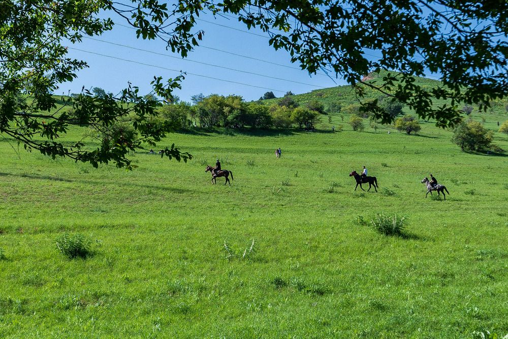 Photograph by Zubair Irshad