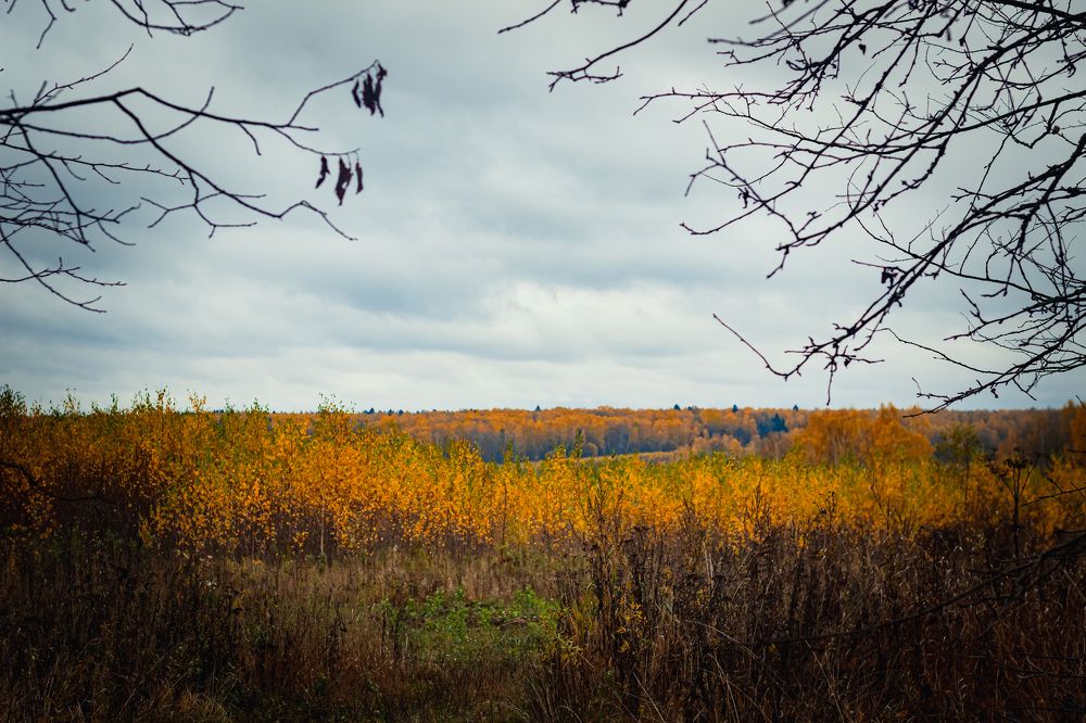 Фотография автора Михаил Наволокин