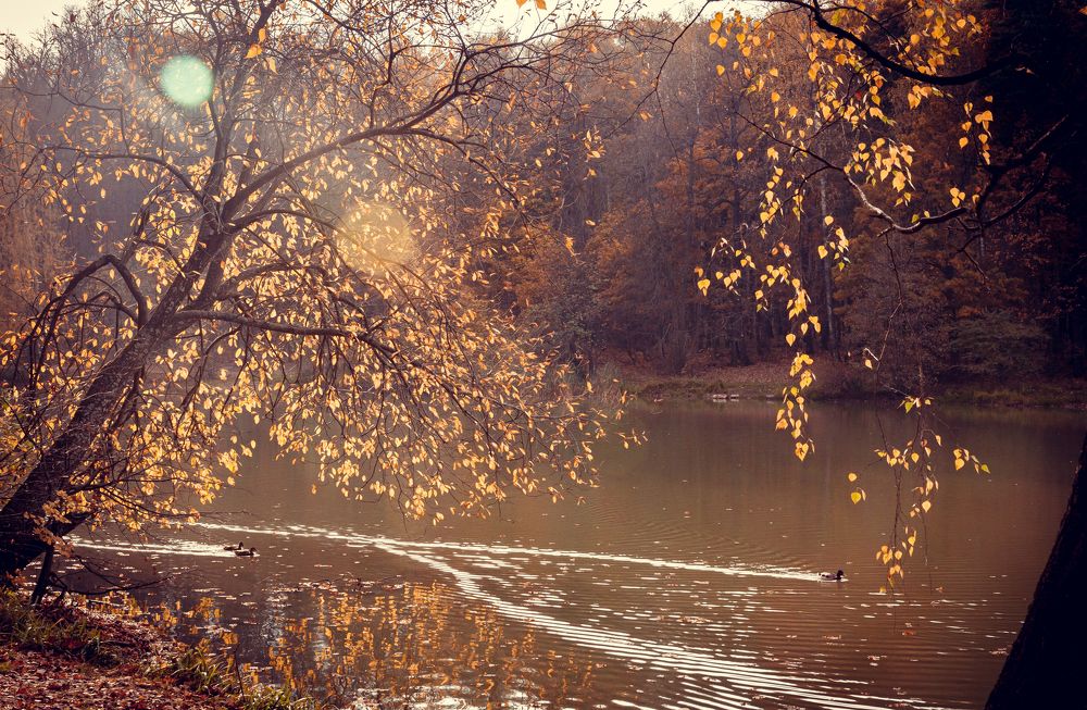 Фотография автора Михаил Наволокин
