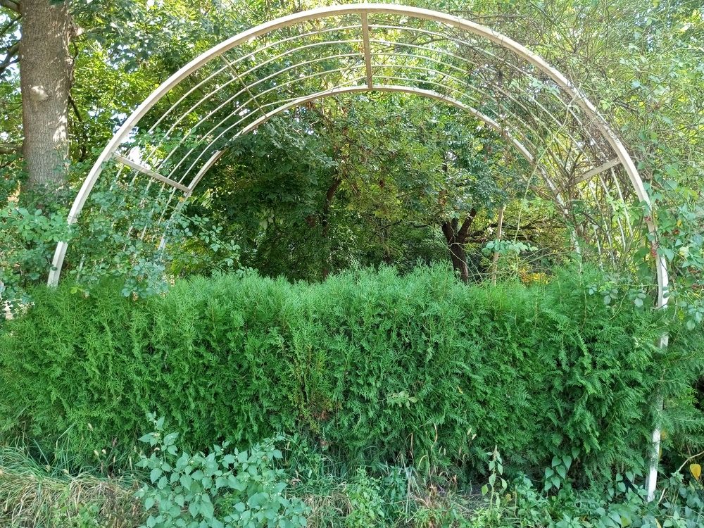 Photograph by Нина Гирнык