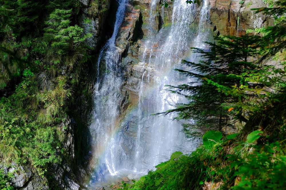 Photograph by Василий Арлашов