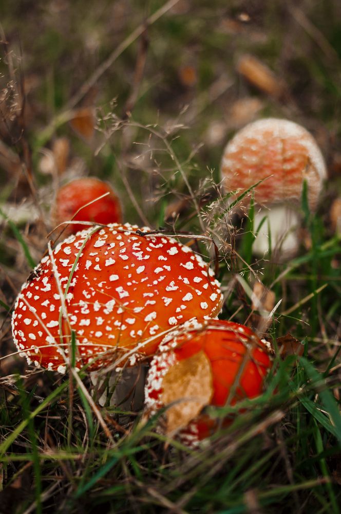 Photograph by Марина Шамова