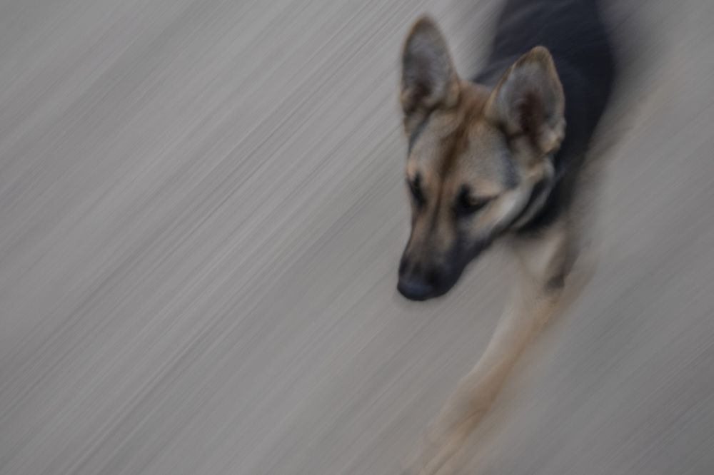 Photograph by Виктор Саврей