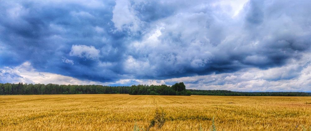 Photograph by Алексей Царевский