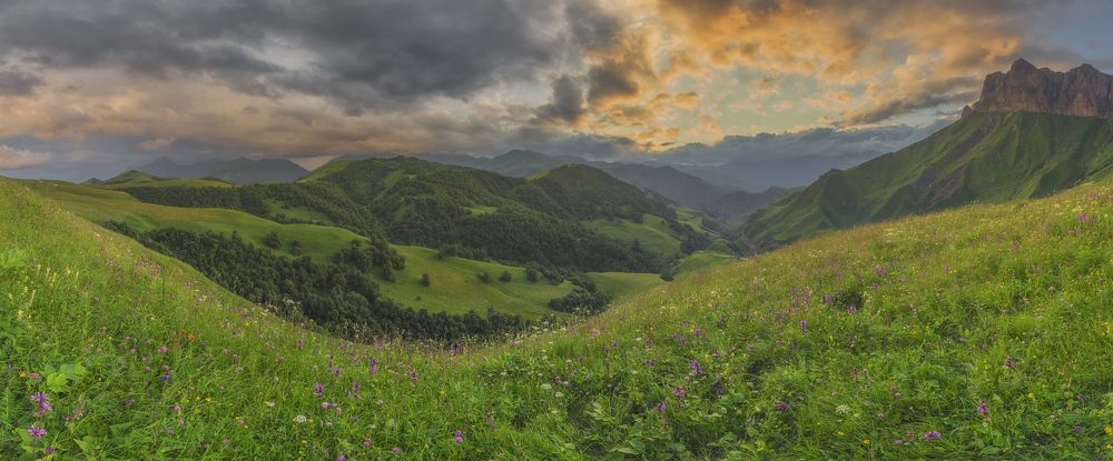 Летний холст Актопрака