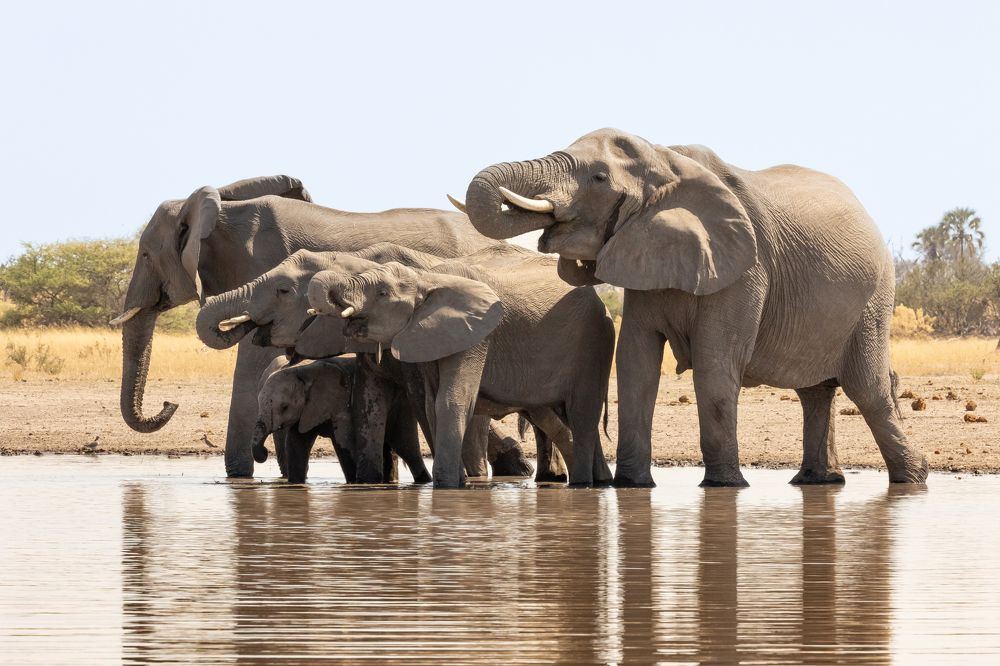 Photograph by Raquel Barao