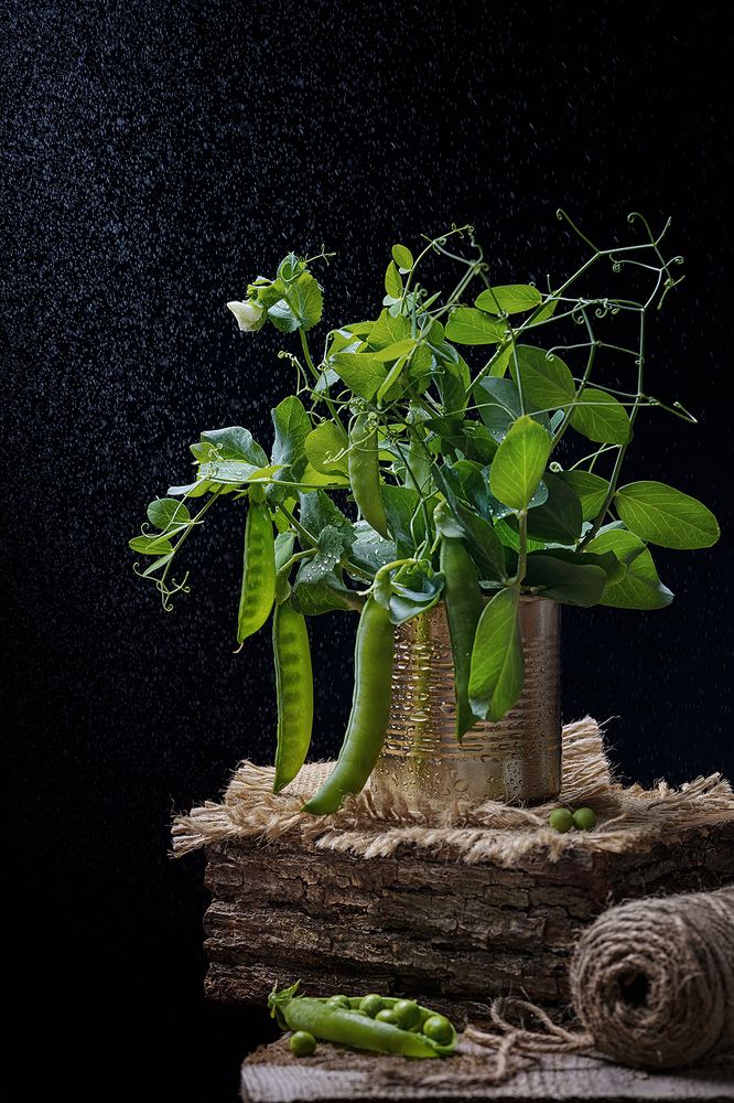 Фотография автора Ольга ЯR