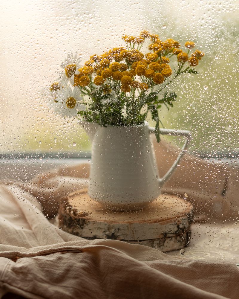 Photograph by Ирина Зиннурова