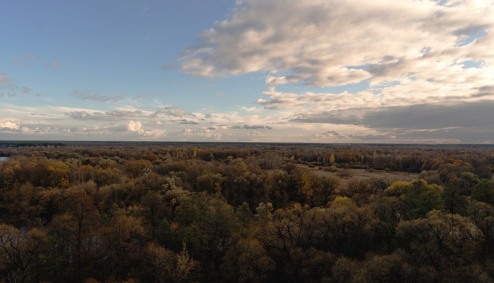 Photograph by Roman Vlassov