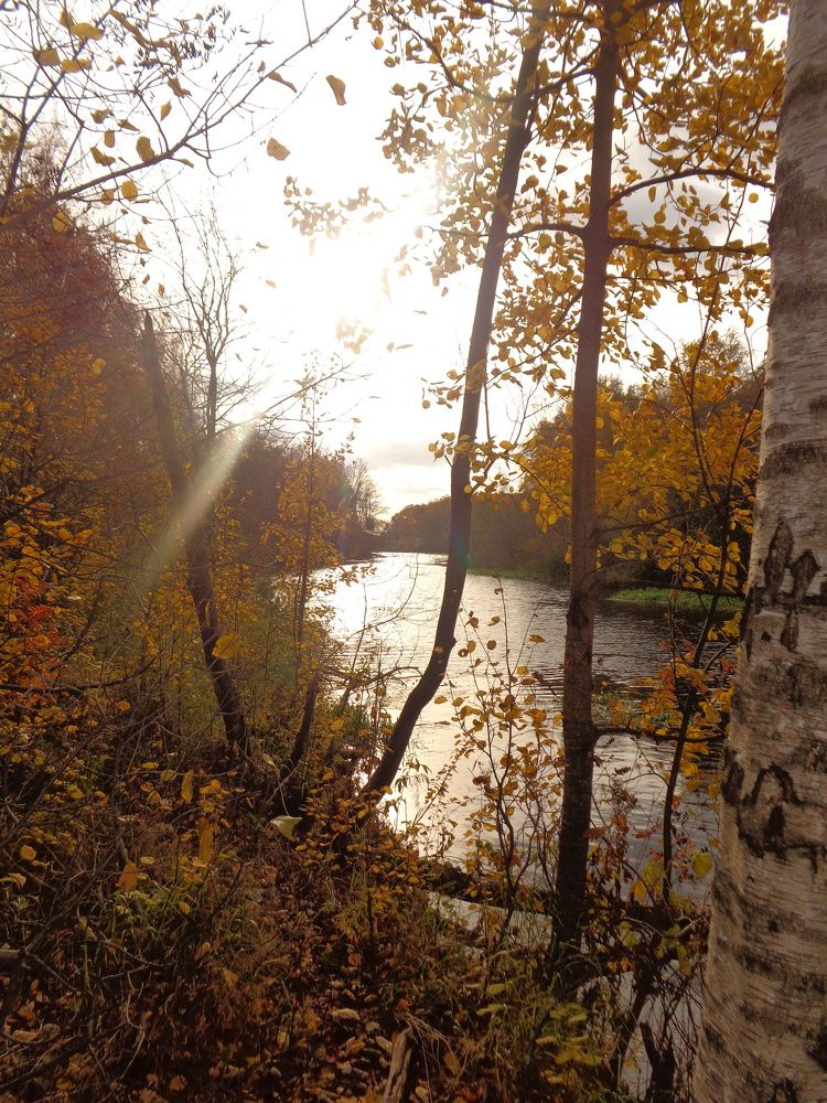 Photograph by Георгий Салюков