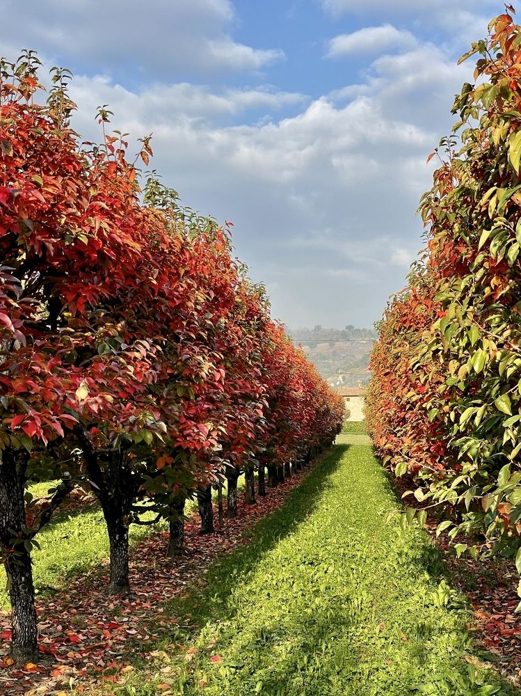 Photograph by Svetlana Mikheeva