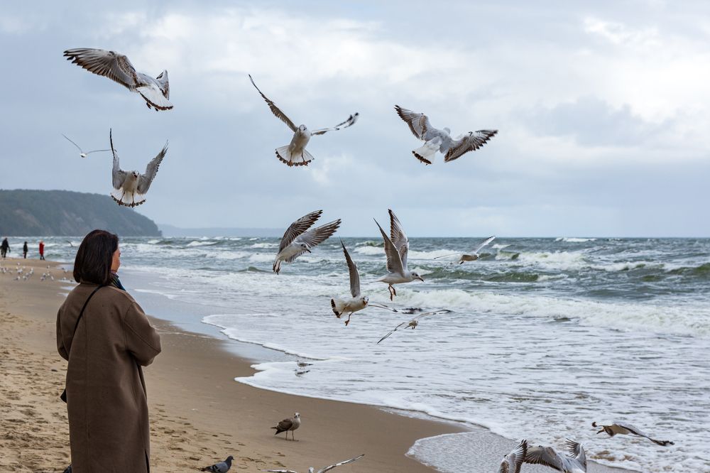 Photograph by Алексей Кузьмин