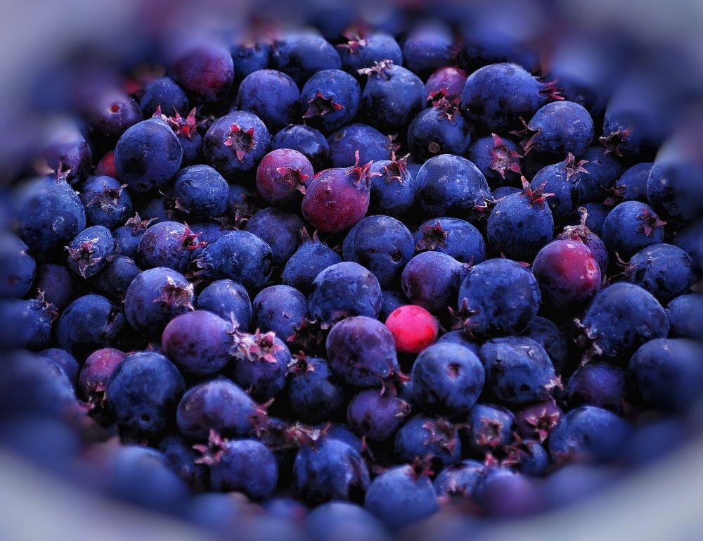 Фотография автора Тамара Караваева