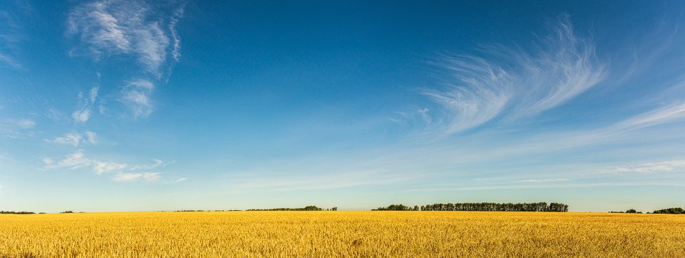 Широта Высокополья