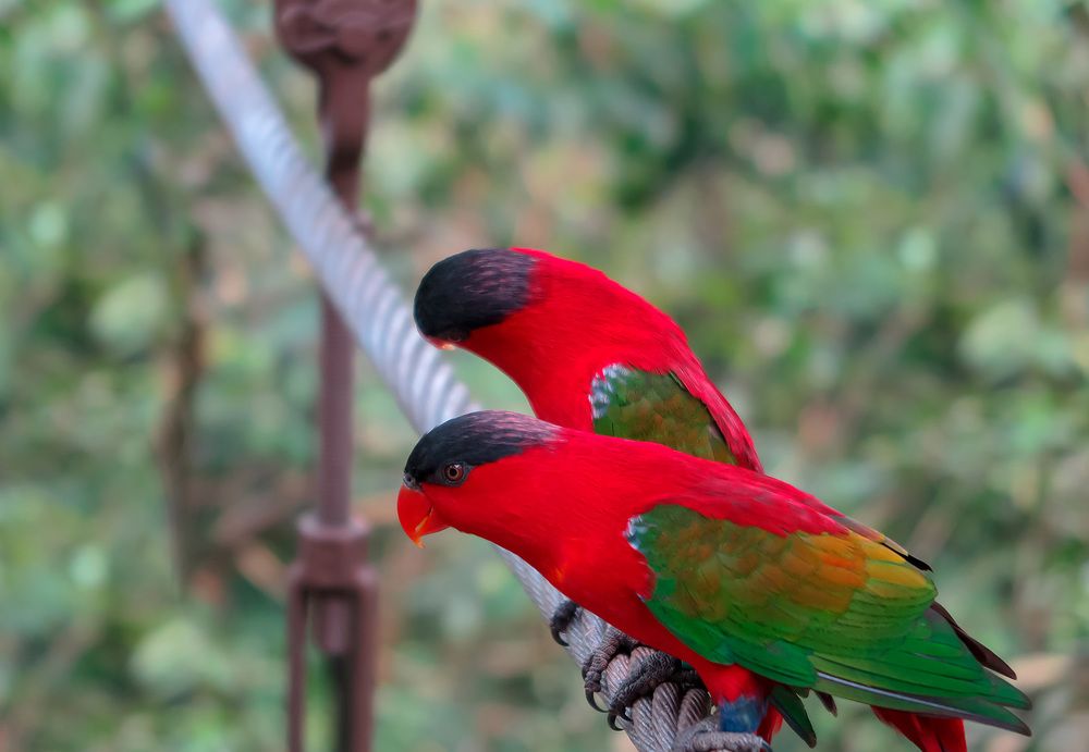 Photograph by Evgeniia Iakimenko