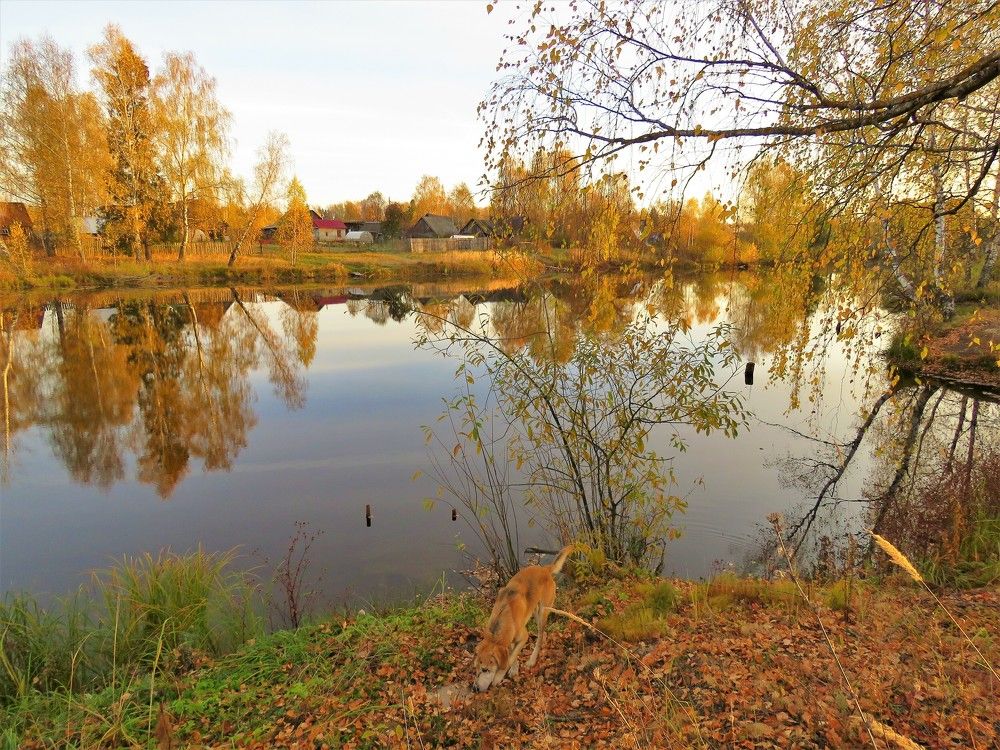 Photograph by НАТАЛЬЯ РОДИНА