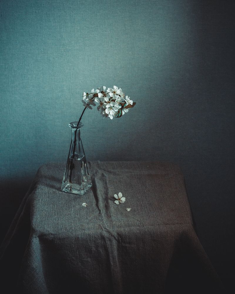 Photograph by Галина Кочеткова