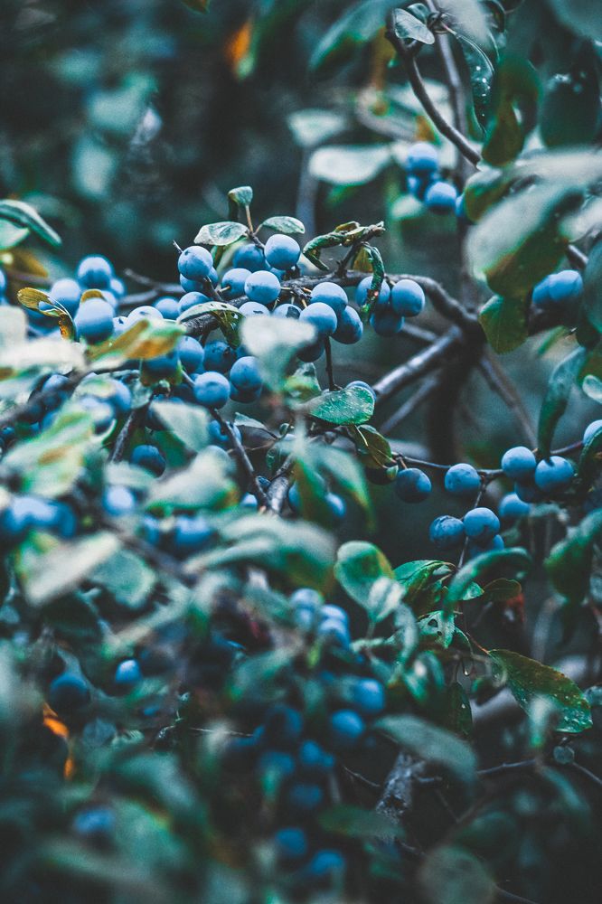 Photograph by Галина Кочеткова