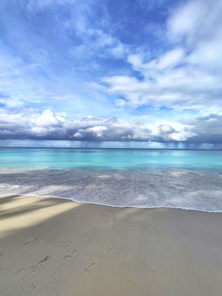 Photograph by VASHALE DEVI