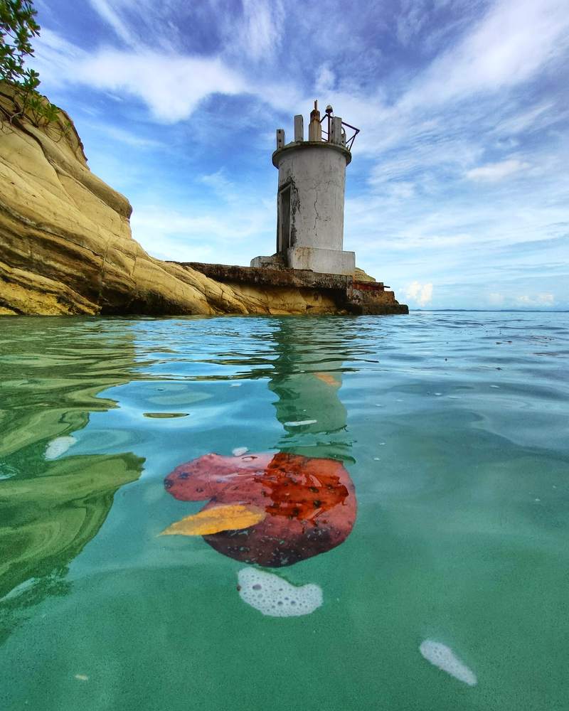 Photograph by VASHALE DEVI