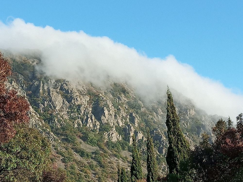 Photograph by Нина Гирнык