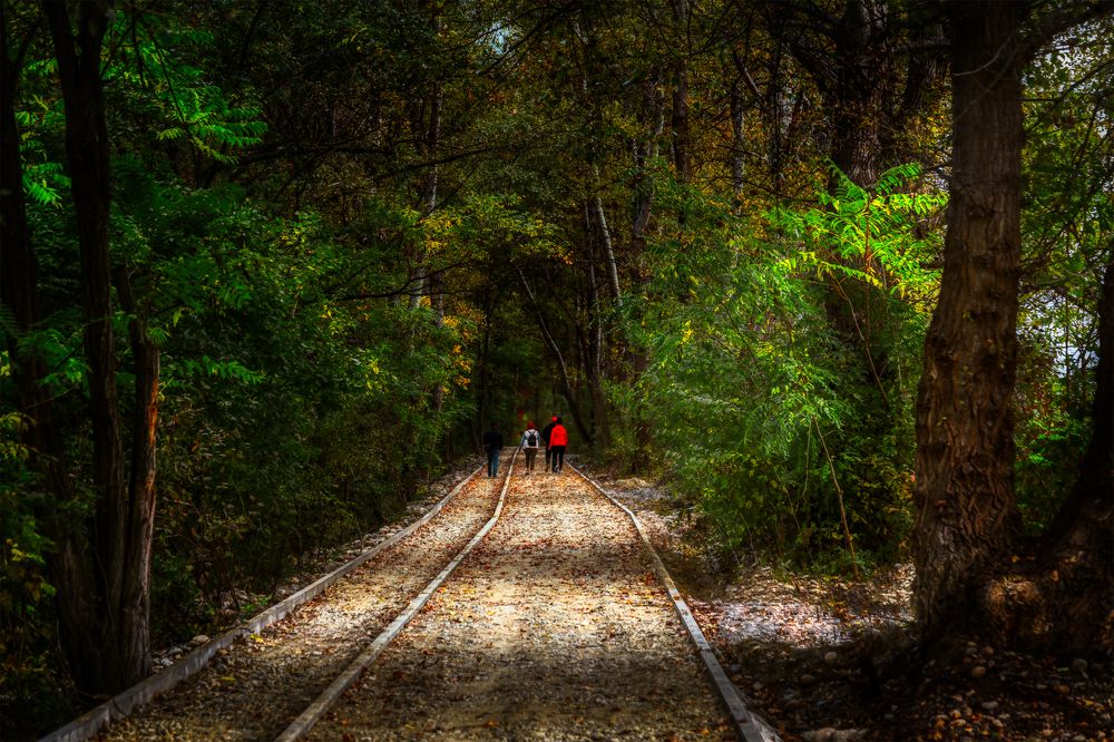 Photograph by Владимир Кваша