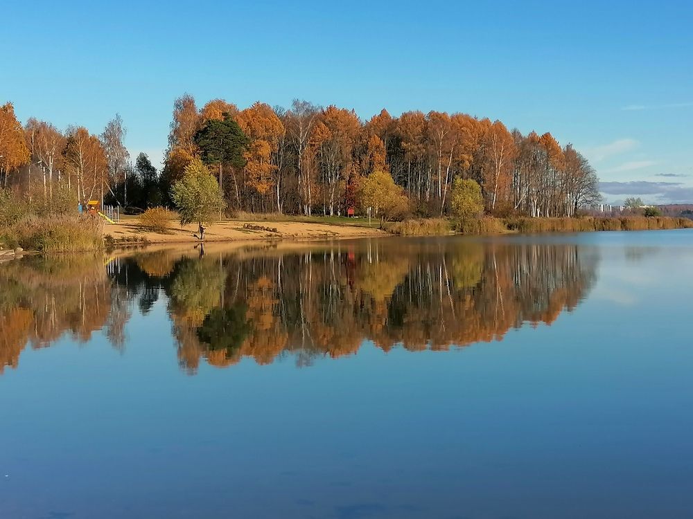 Фотография автора Елена Бракоренко