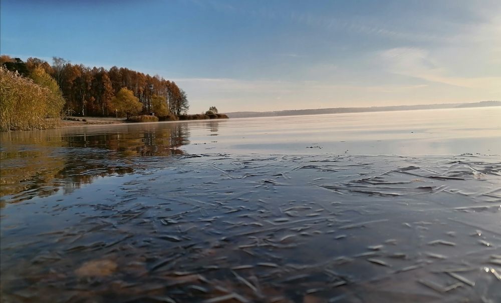Фотография автора Елена Бракоренко