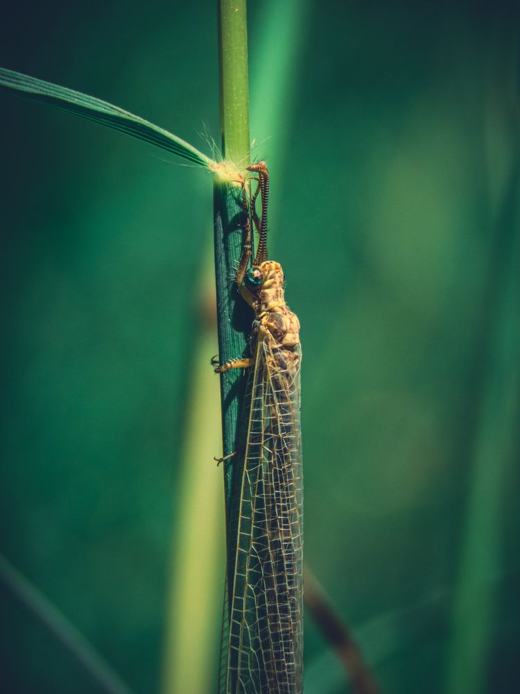 Photograph by Ashkan Bahrami