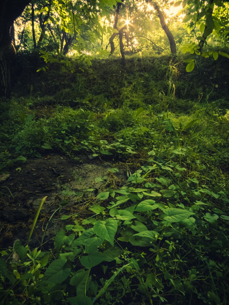 Photograph by Ashkan Bahrami