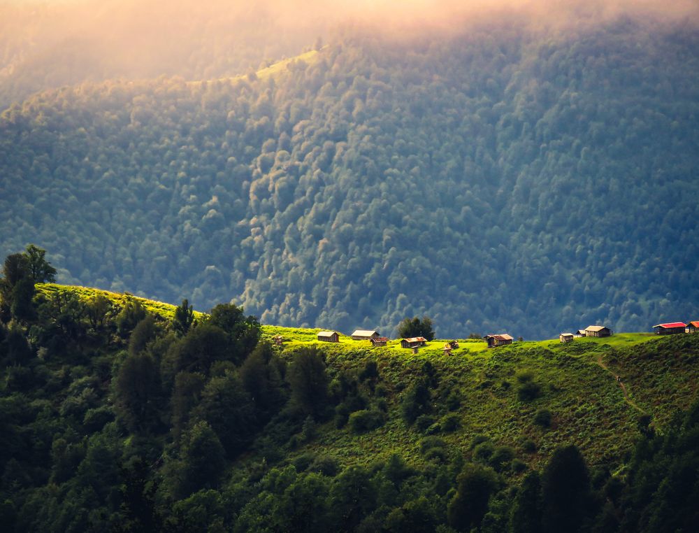 Photograph by Ashkan Bahrami