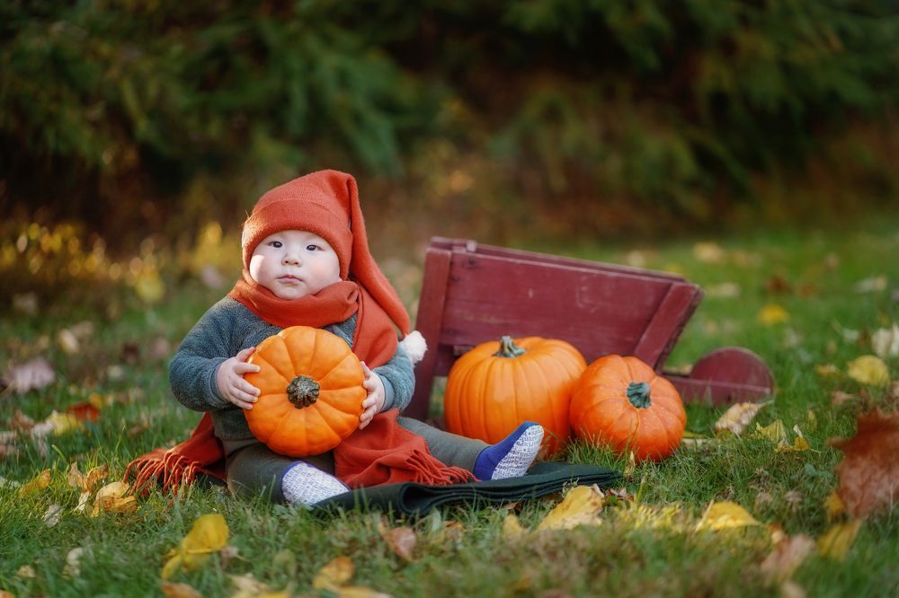 Фотография автора Sherry Igam