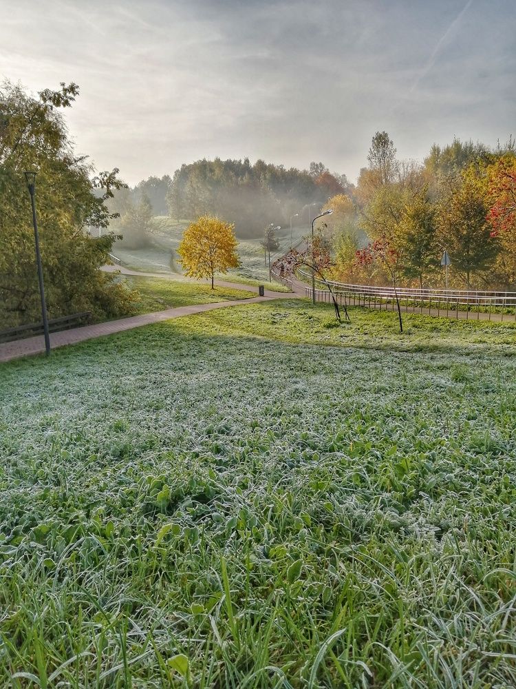 Photograph by Дмитрий Одинцов
