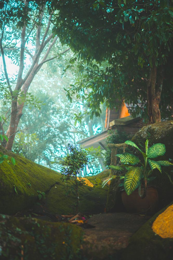 Photograph by Алексей