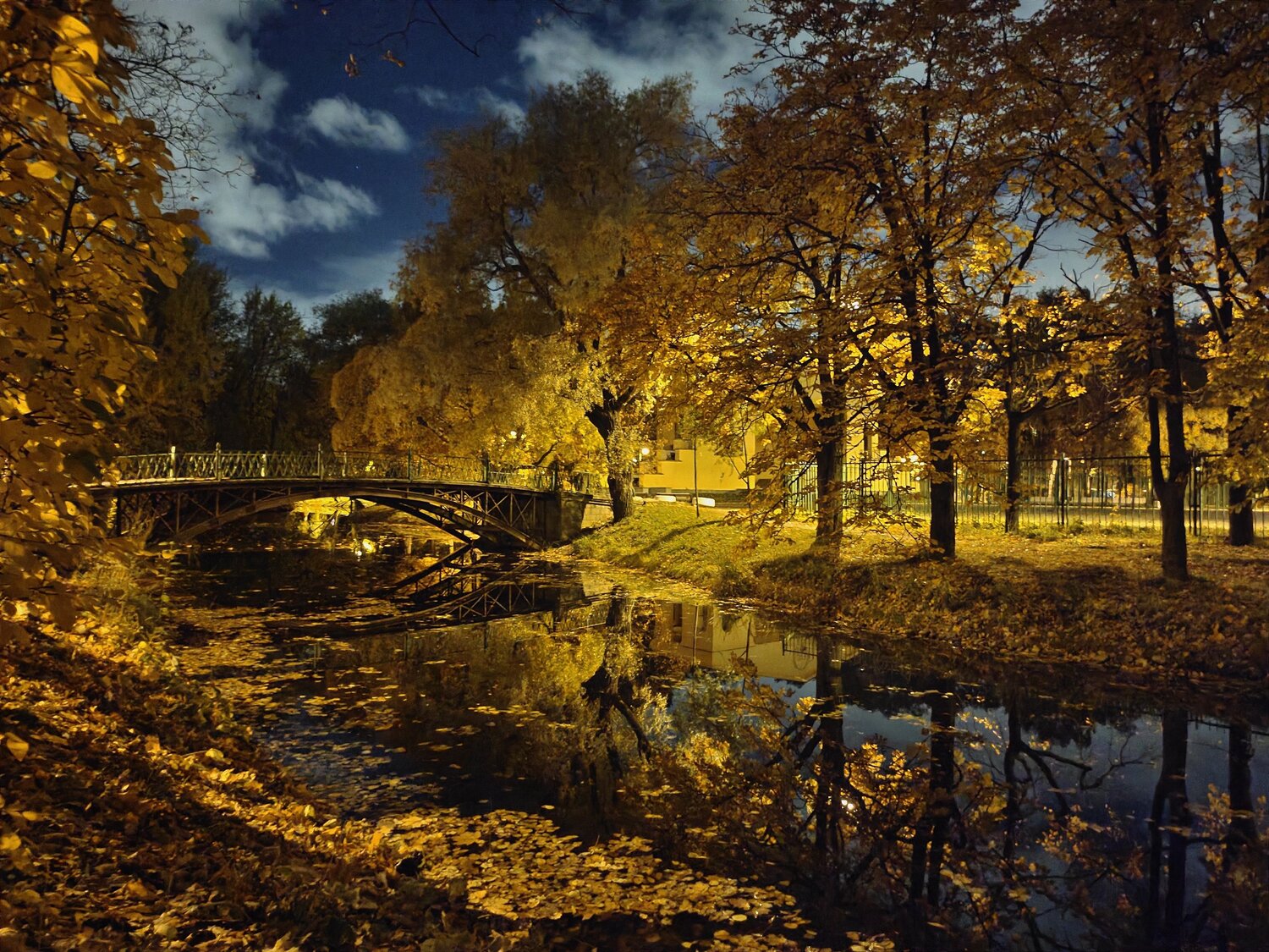 Photo #8243838