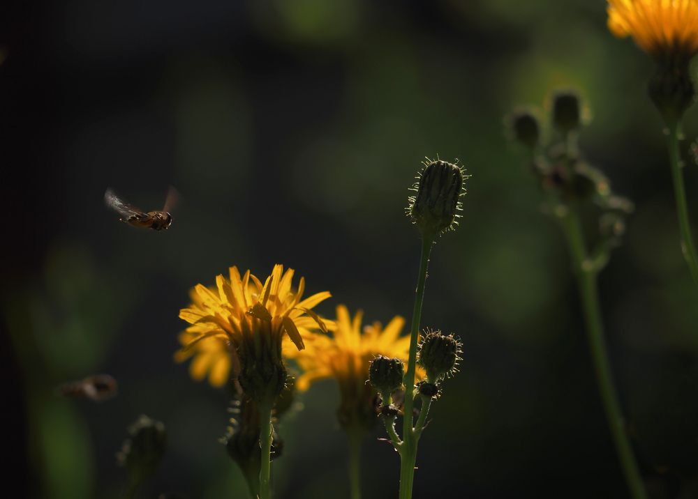 Photograph by Александр Попов